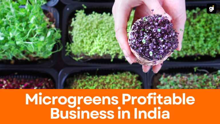 Grow Microgreens at Home and Start a Profitable Business in India