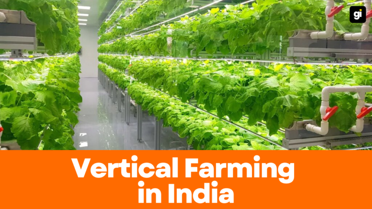 Vertical Farming in India: A Complete Guide to Start Your Own Farm