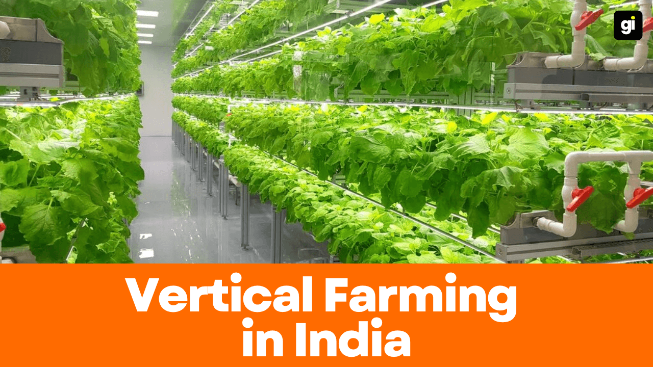 vertical-farming-in-india